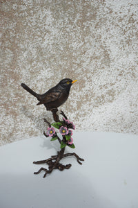 Blackbird with Blossom