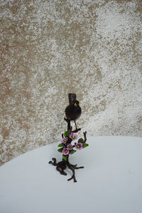 Blackbird with Blossom