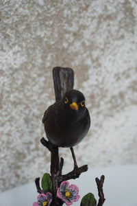 Blackbird with Blossom