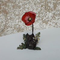 Small red flower and green plant on a textured surface with a white background