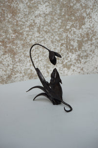 Mouse with Snowdrop