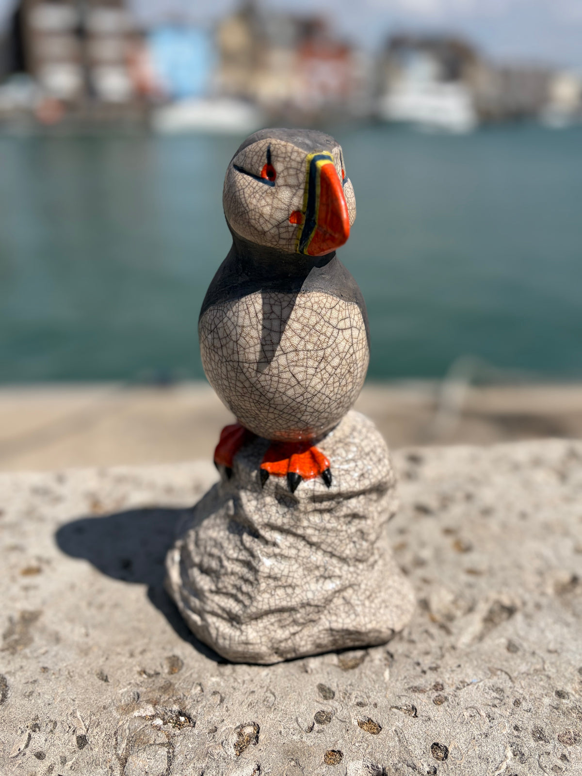 Puffin on Rock