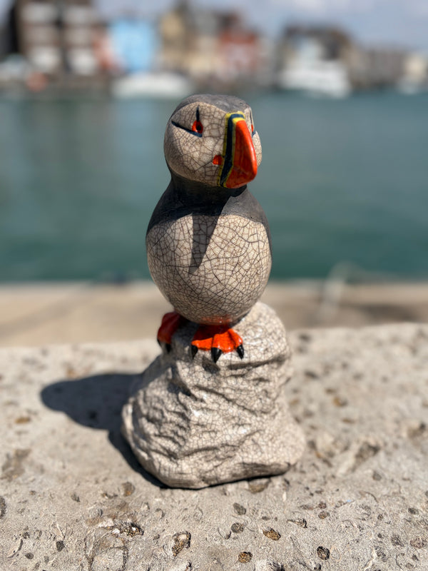 Puffin on Rock