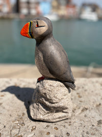 Puffin on Rock
