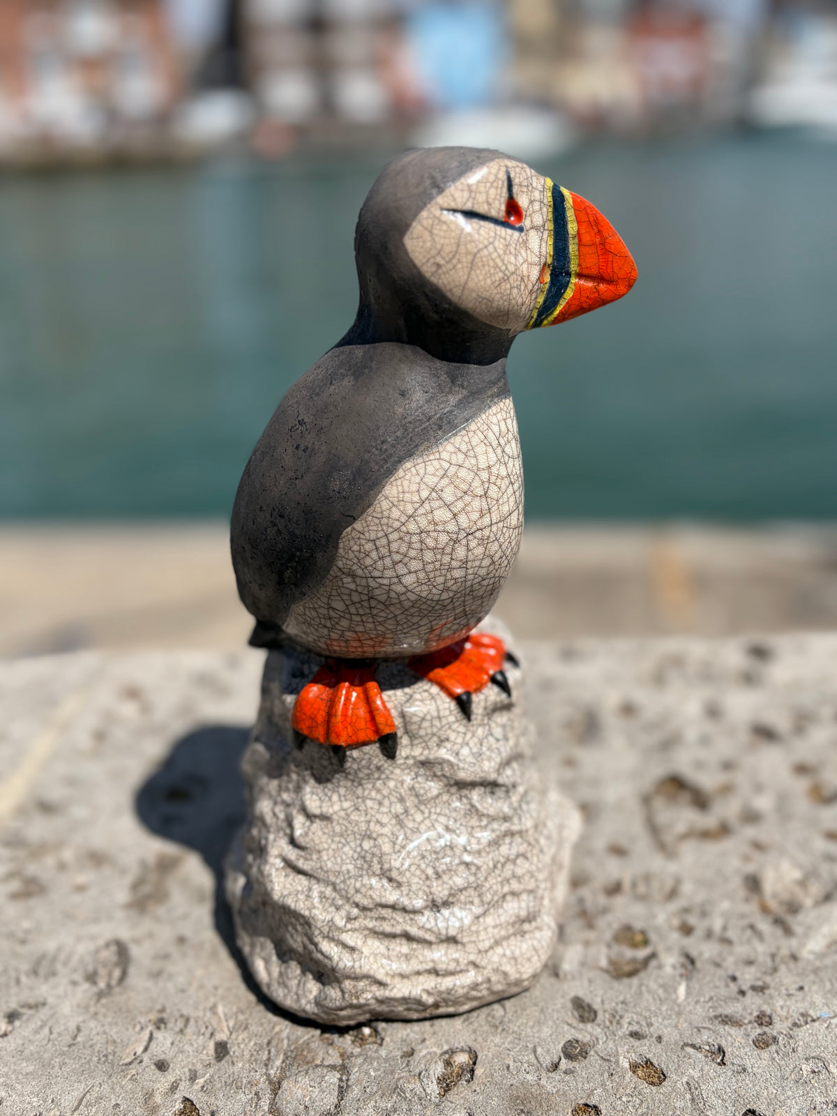 Puffin on Rock