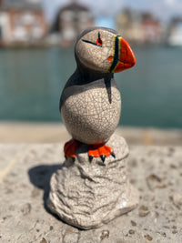 Puffin on Rock