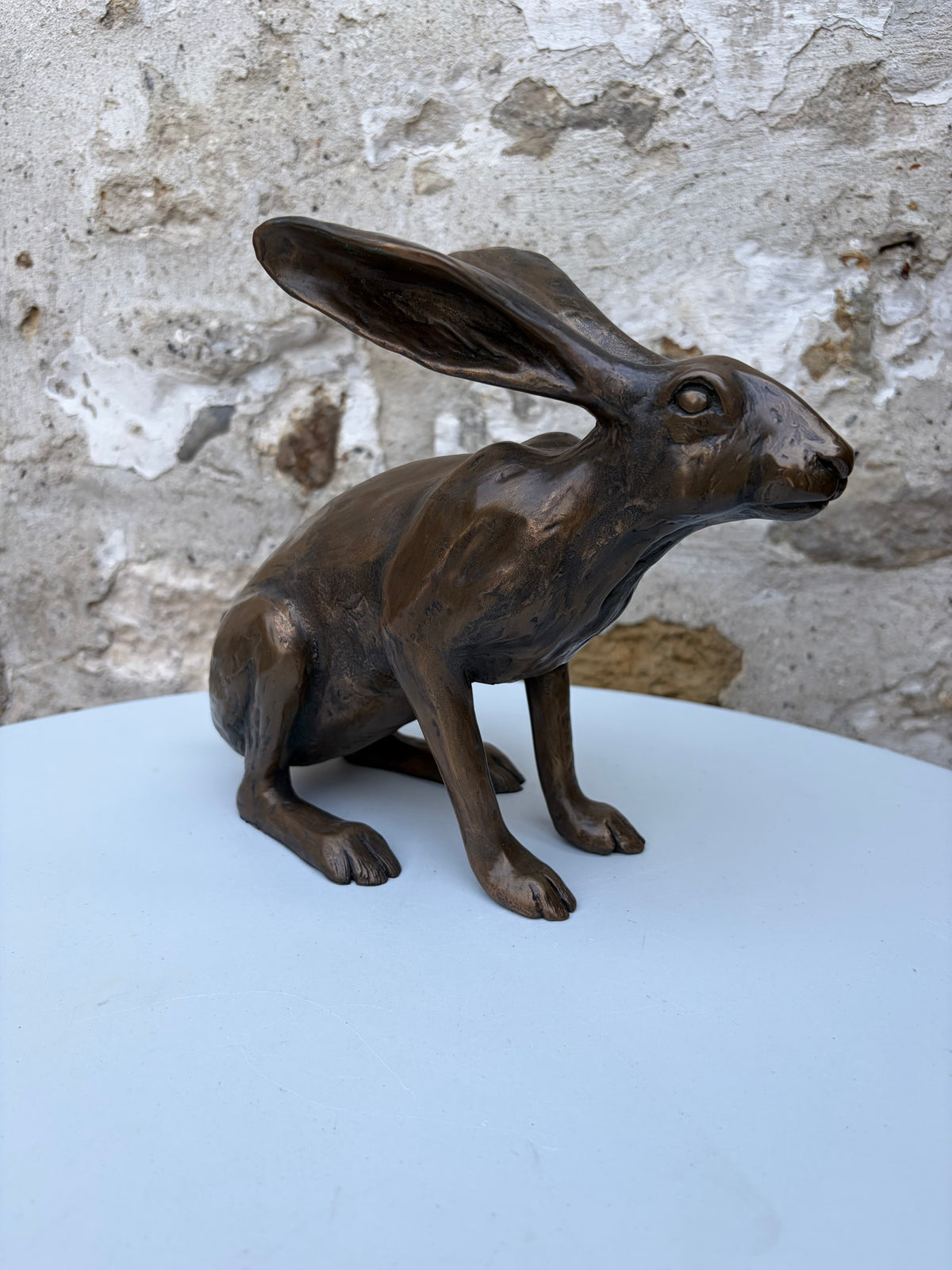 Sitting Hare