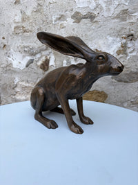 Sitting Hare
