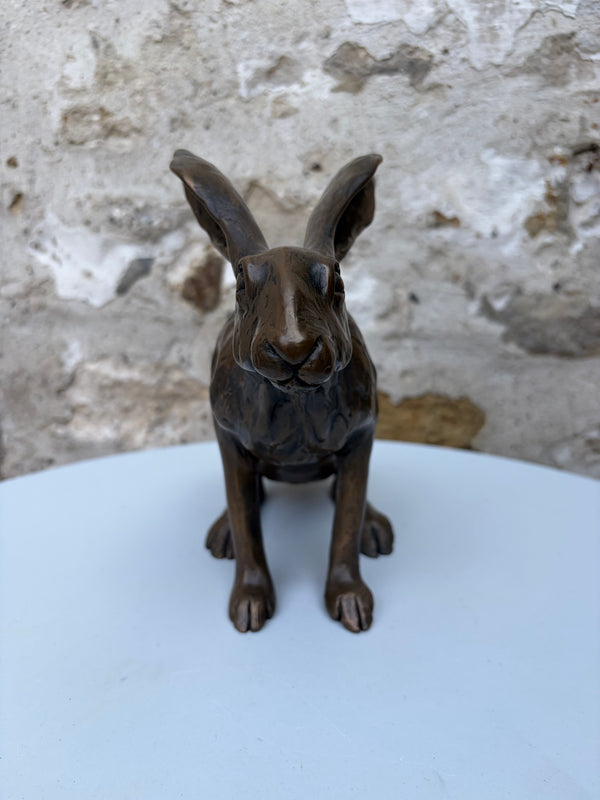 Sitting Hare