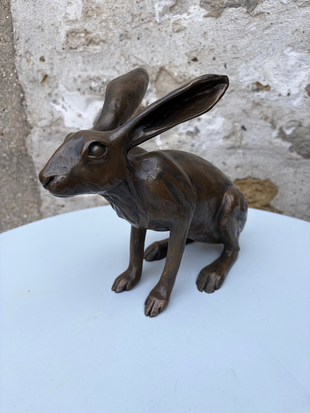 Sitting Hare