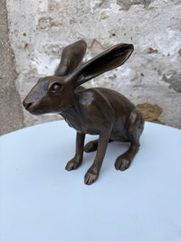 Sitting Hare