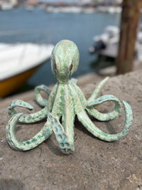 Green Octopus