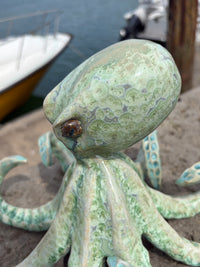 Green Octopus