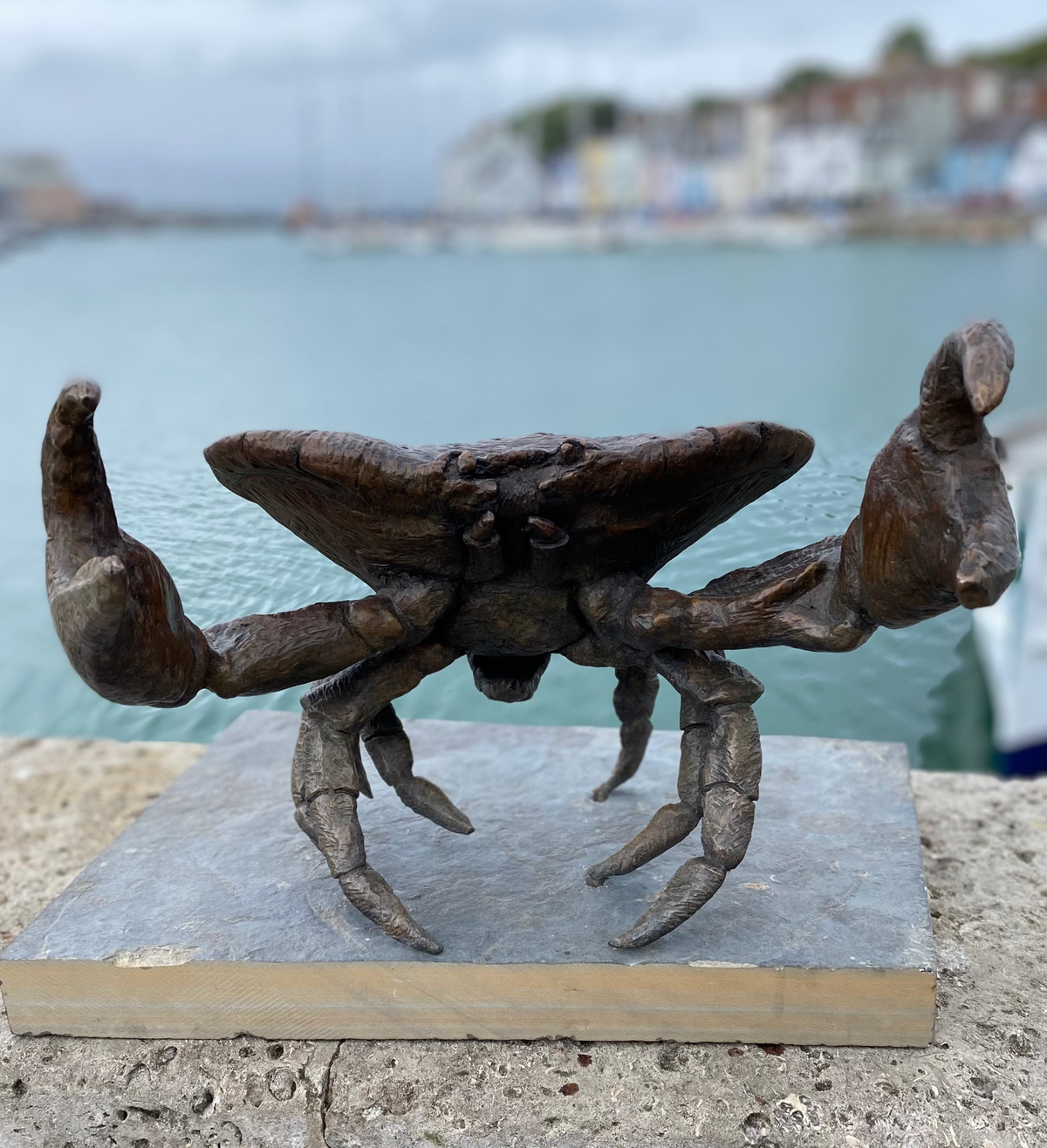 The Weymouth Crab