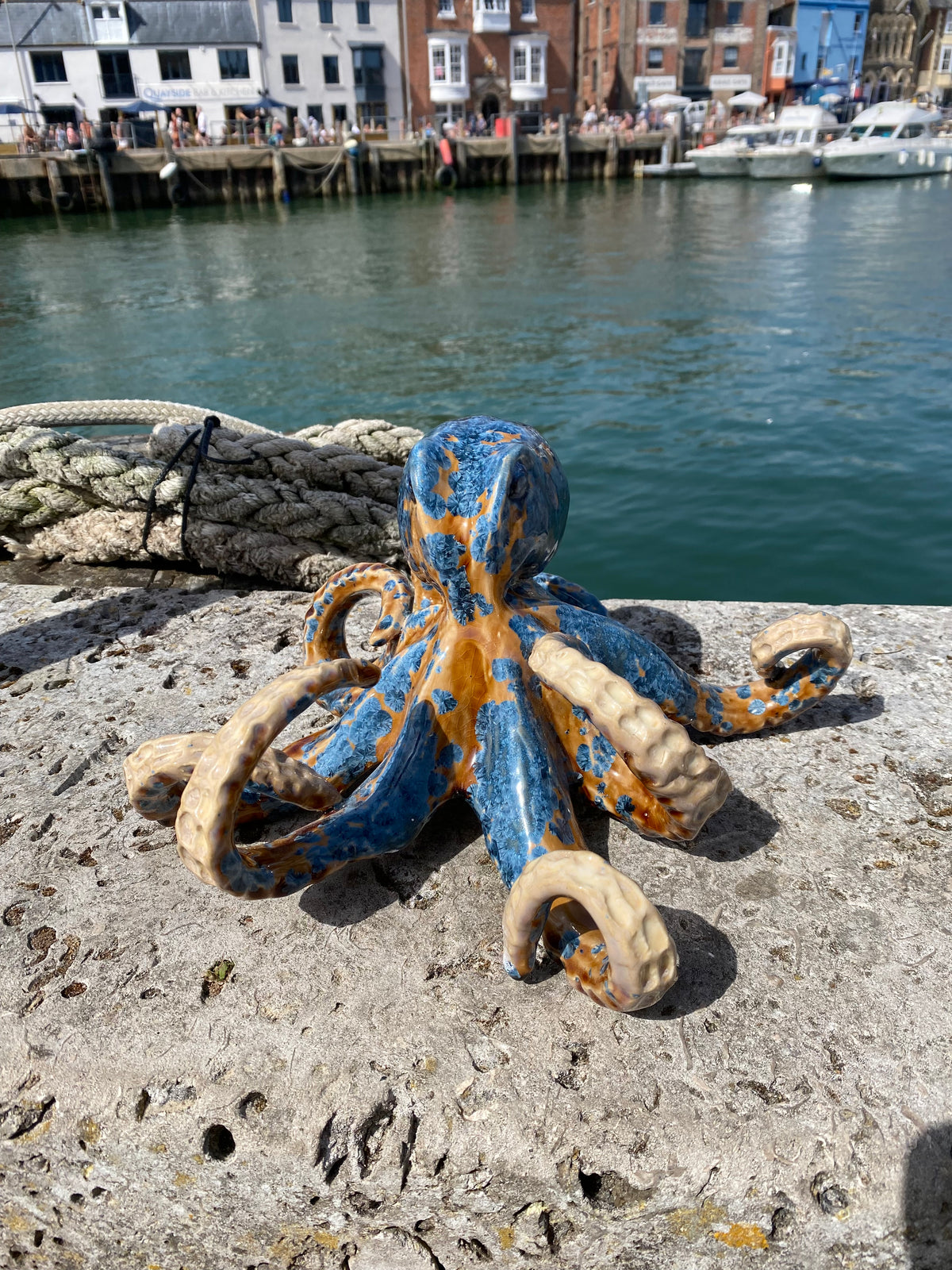Large Octopus