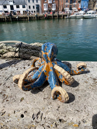 Large Octopus