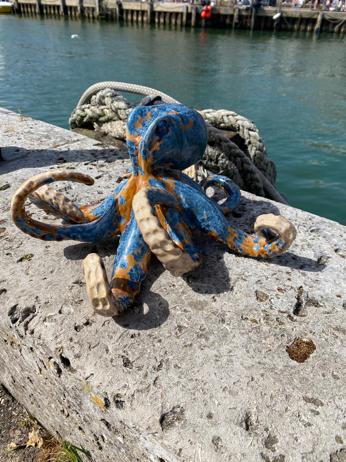 Large Octopus