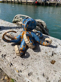 Large Octopus