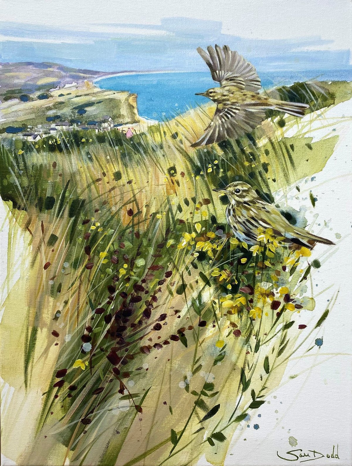 Meadow Pipits over West Bay