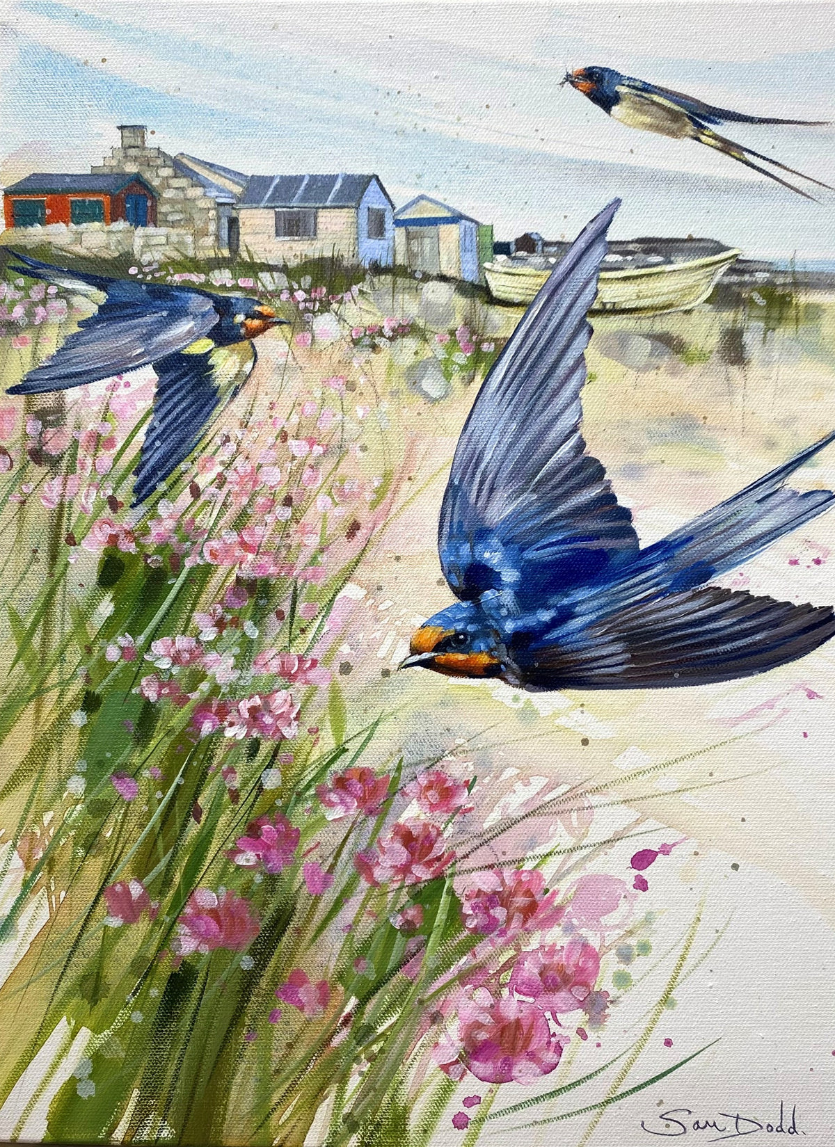 Swallows and Sea Thrift - Portland Bill