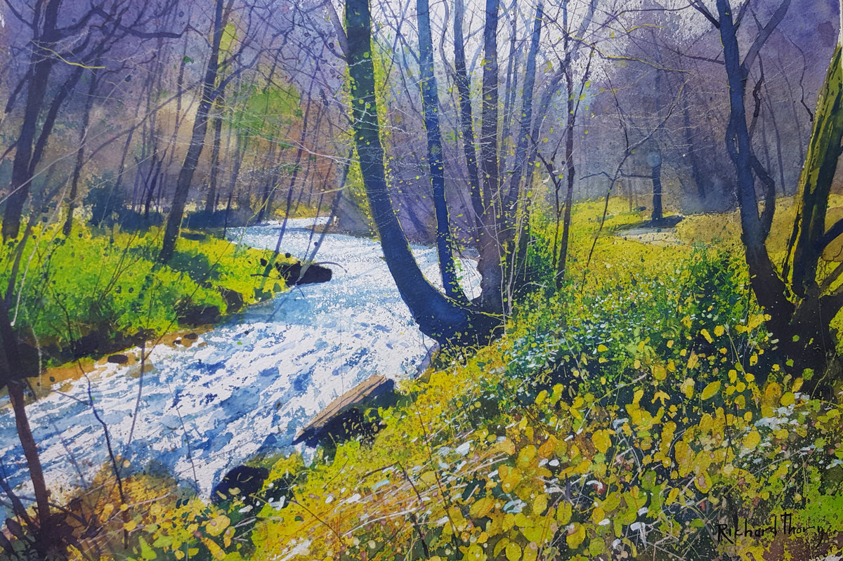 The Spring