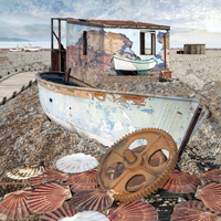 Shells - Seascape 63
