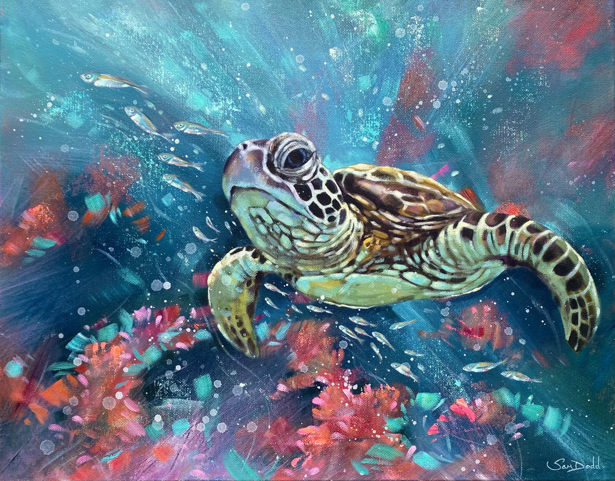 Coral Coasting 2