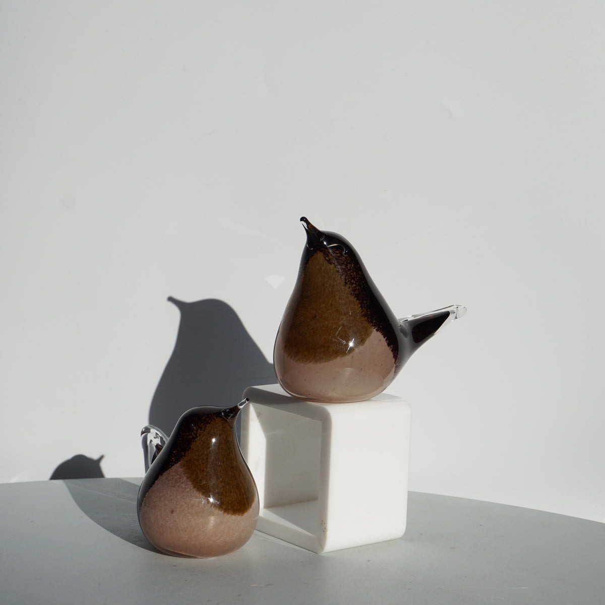 Glass Wren
