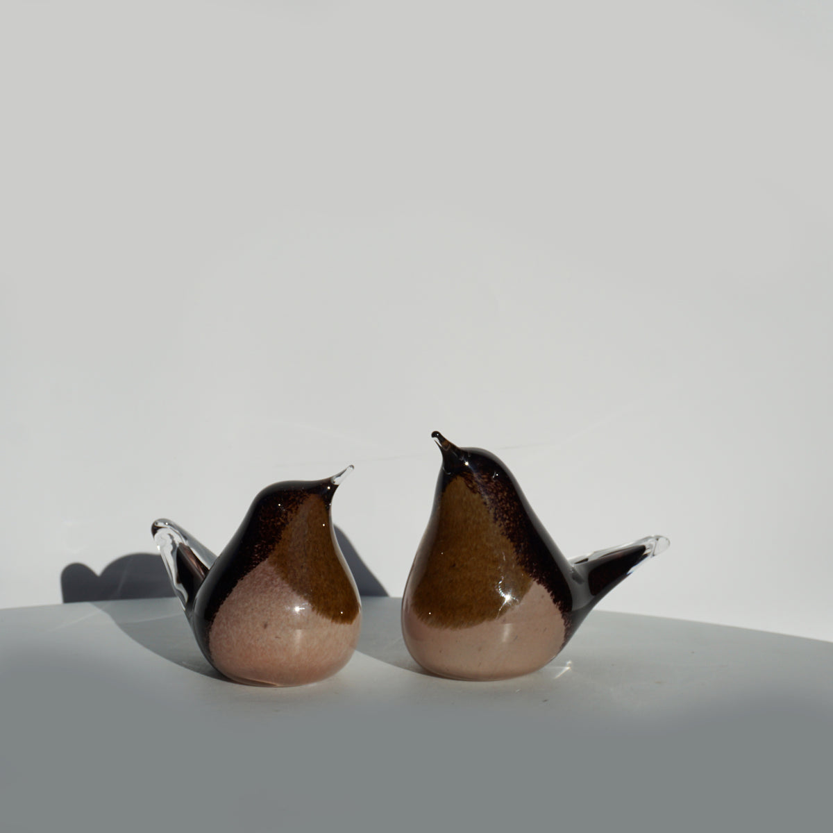 Glass Wren