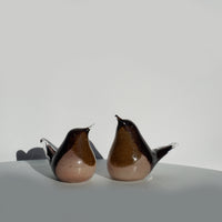 Glass Wren