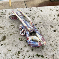 Hand-built Lobster #1 (Red)
