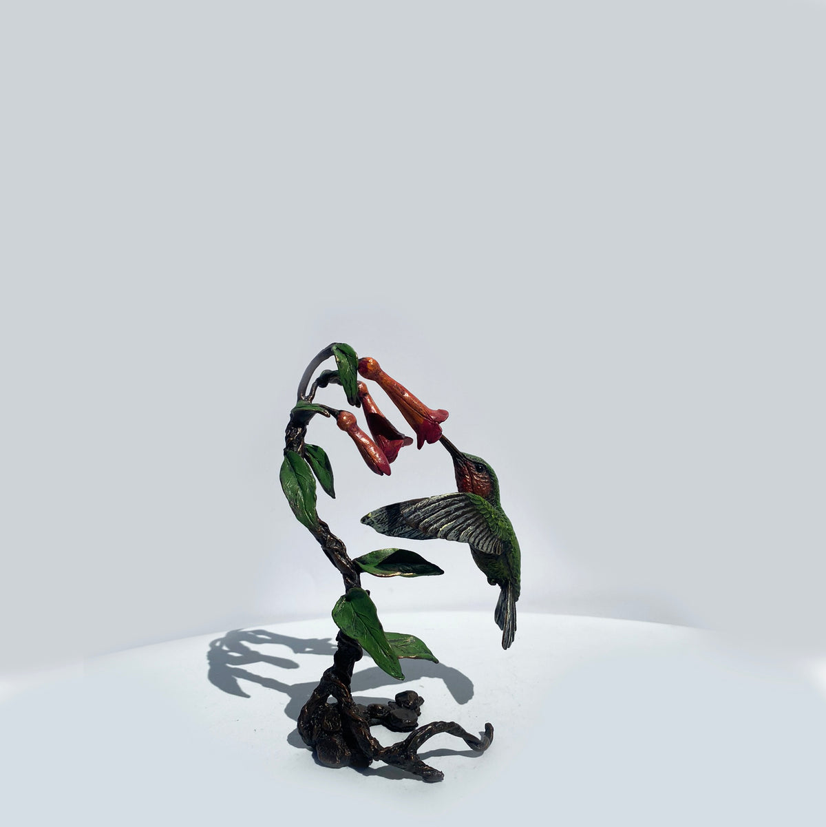 Hummingbird