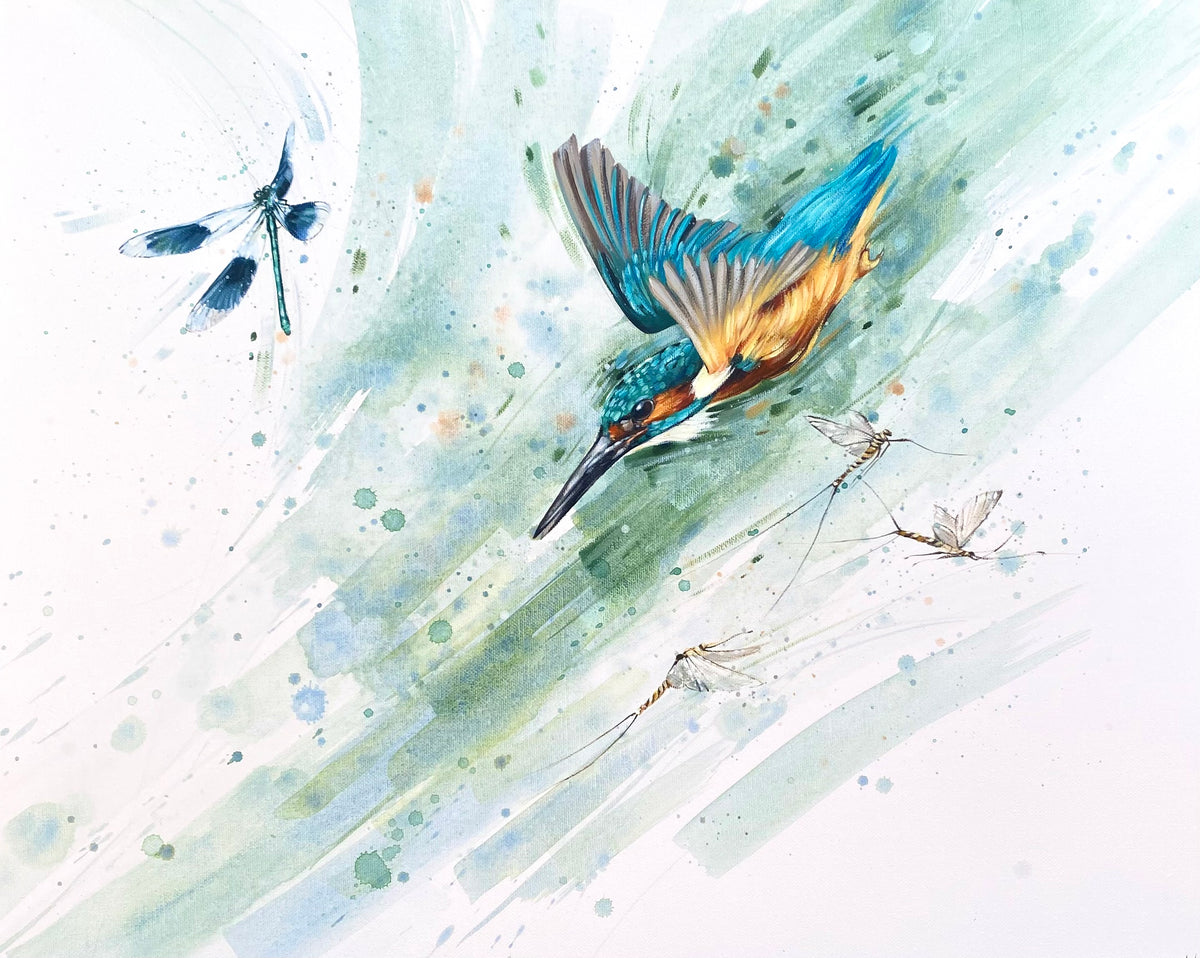 Kingfisher Dive