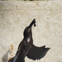 Kingfisher With Catch