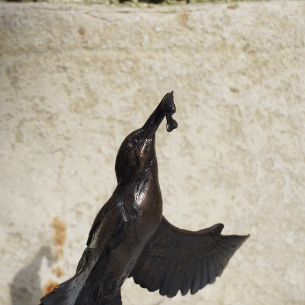 Kingfisher With Catch