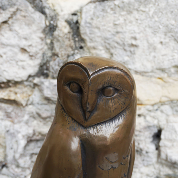 Barn Owl