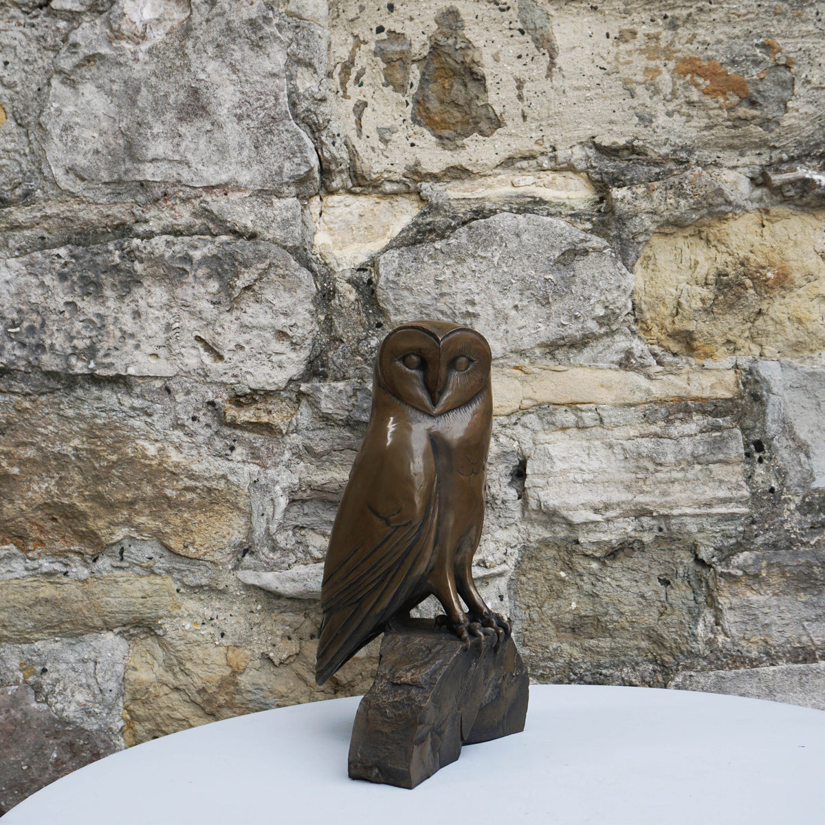 Barn Owl