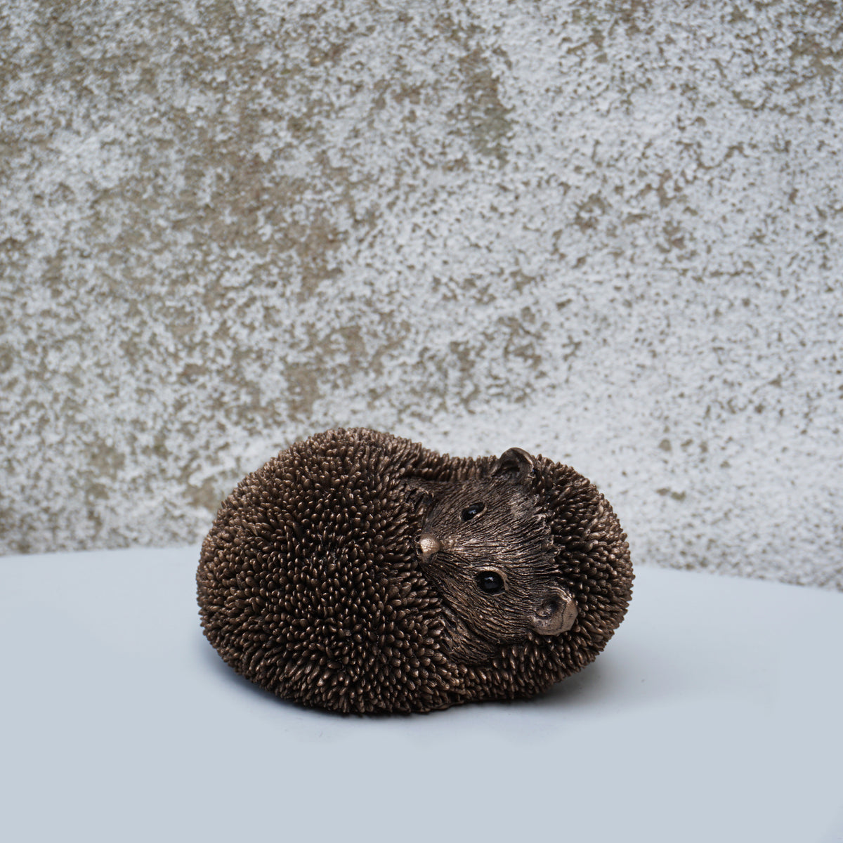 Spike - Hedgehog relaxing