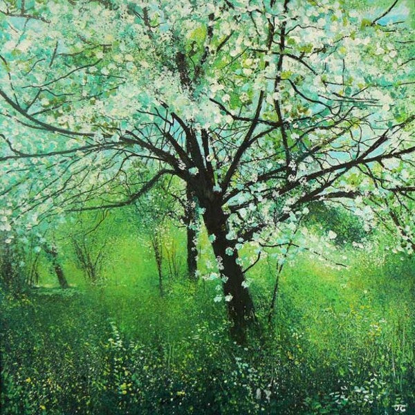Orchard