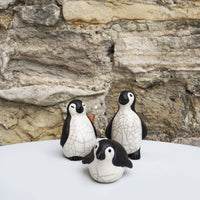 Penguin - Chick