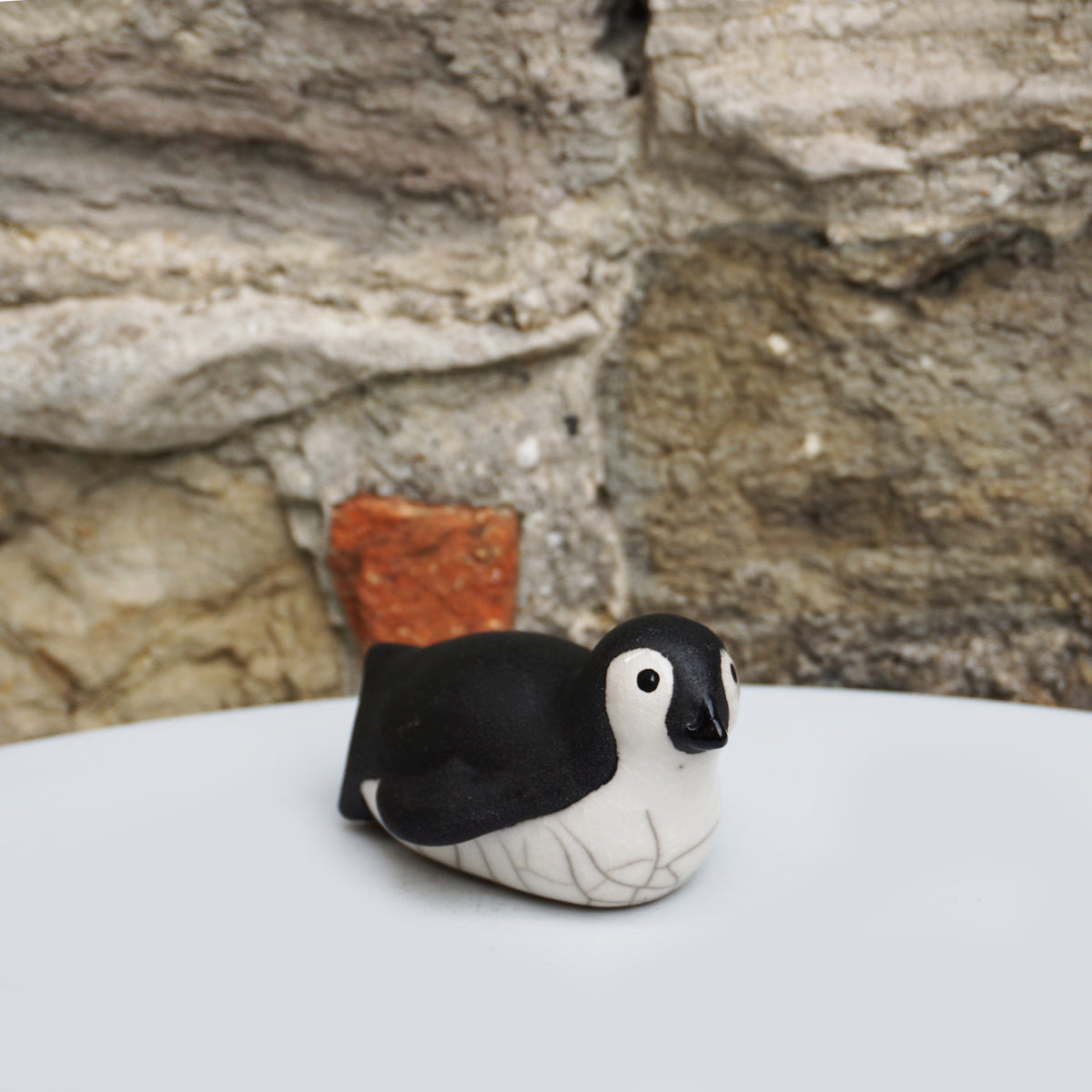 Penguin - Chick