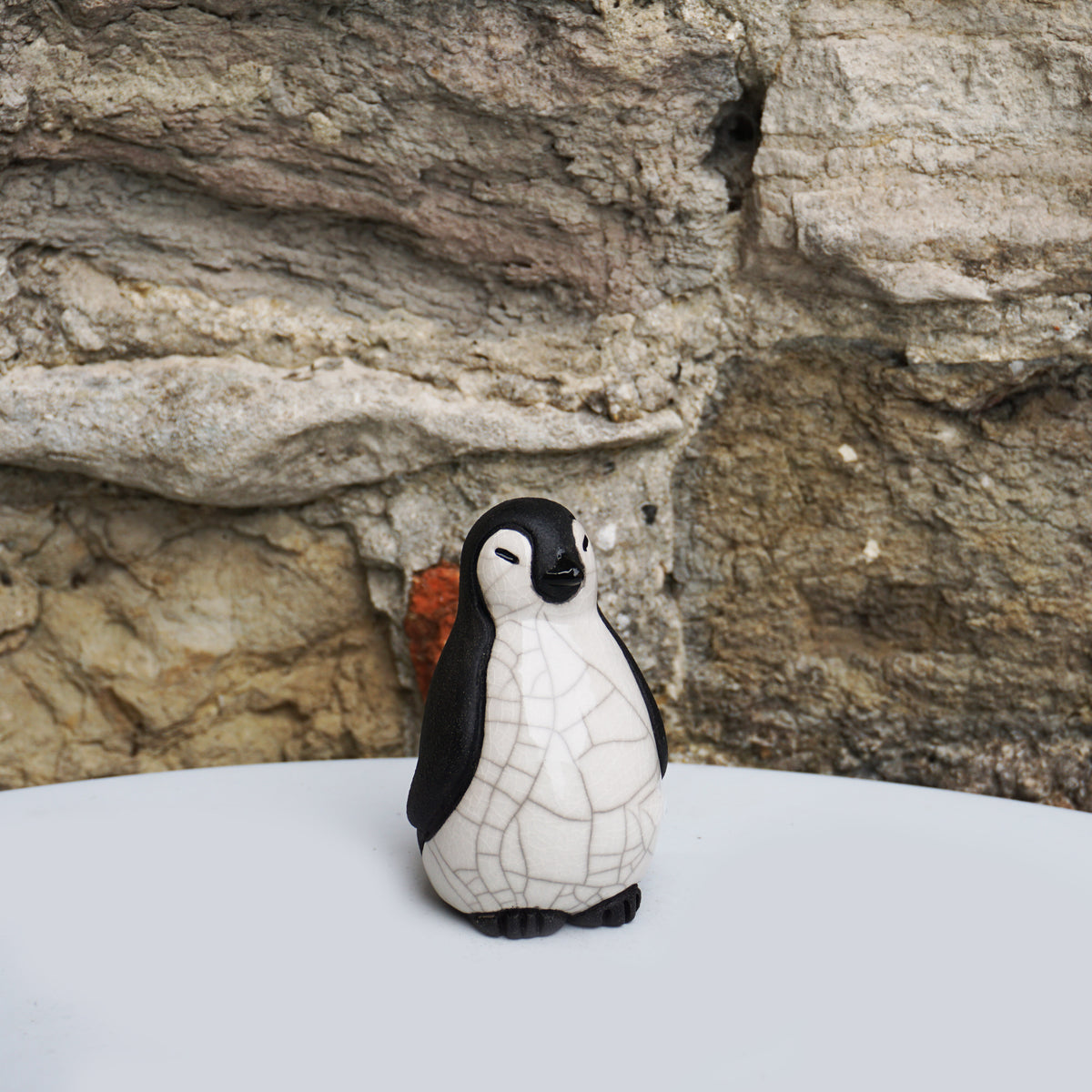 Penguin - Chick