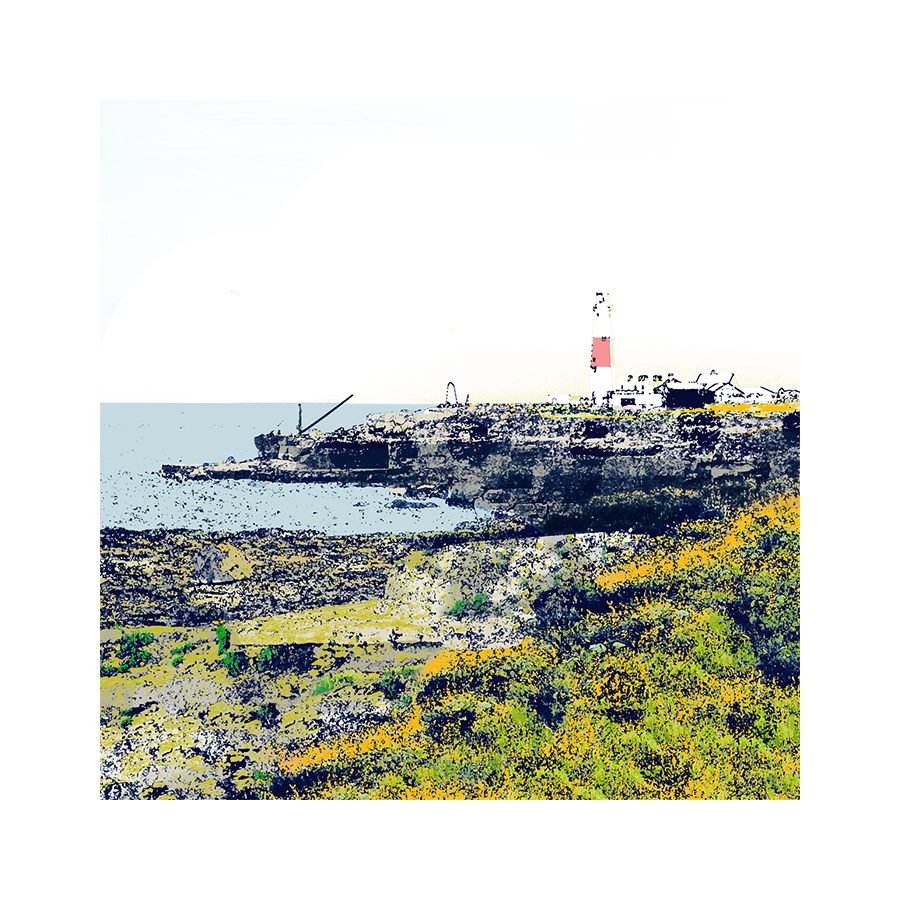 Red Crane, Portland Bill (Print)