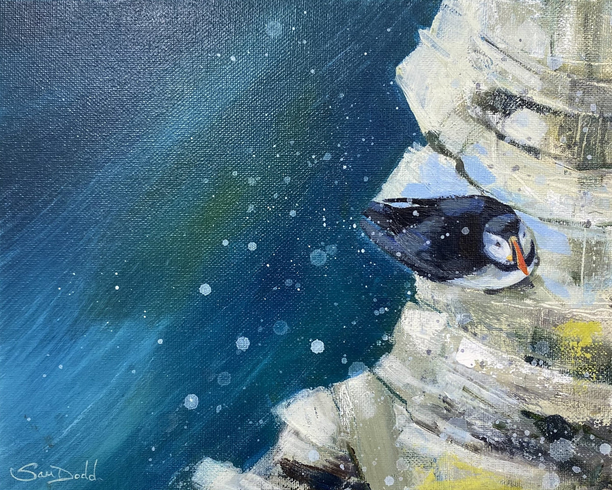 Puffin Ledge