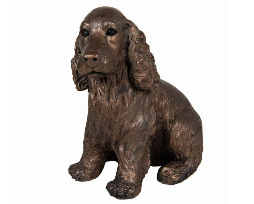 Ruby - Cocker Spaniel Puppy
