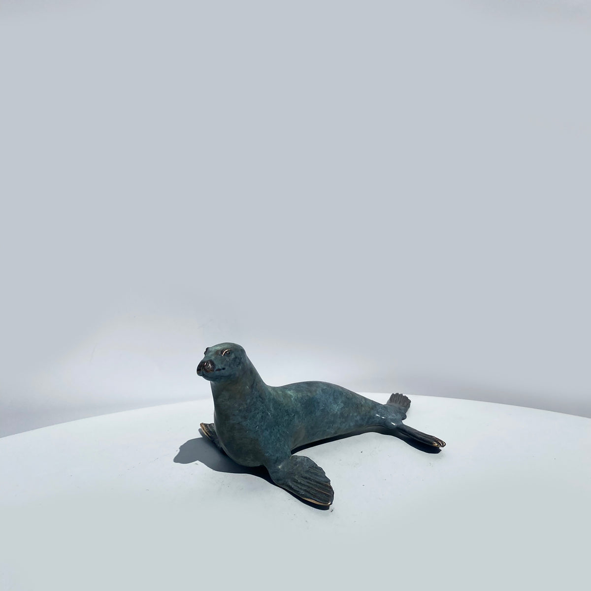 Sea Lion
