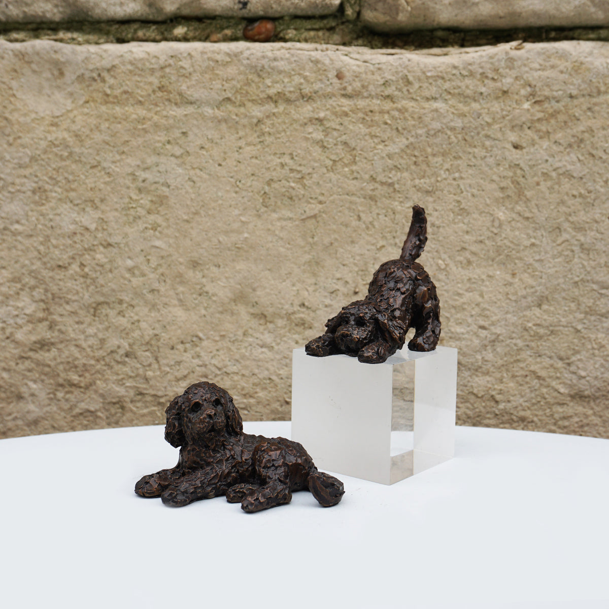 Cockapoo Crystal Arts Cockapoo Playing - Solid Bronze – Cove Gallery Weymouth
