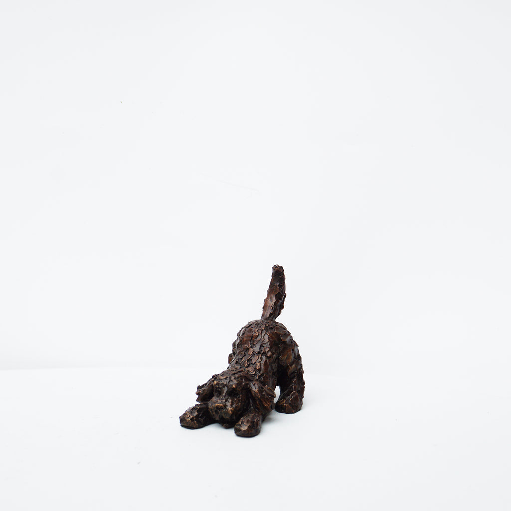 Cockapoo Crystal Arts Cockapoo Playing - Solid Bronze – Cove Gallery Weymouth