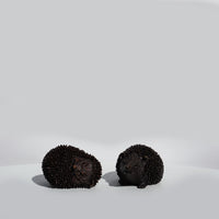Hedgehog Curled - Solid Bronze