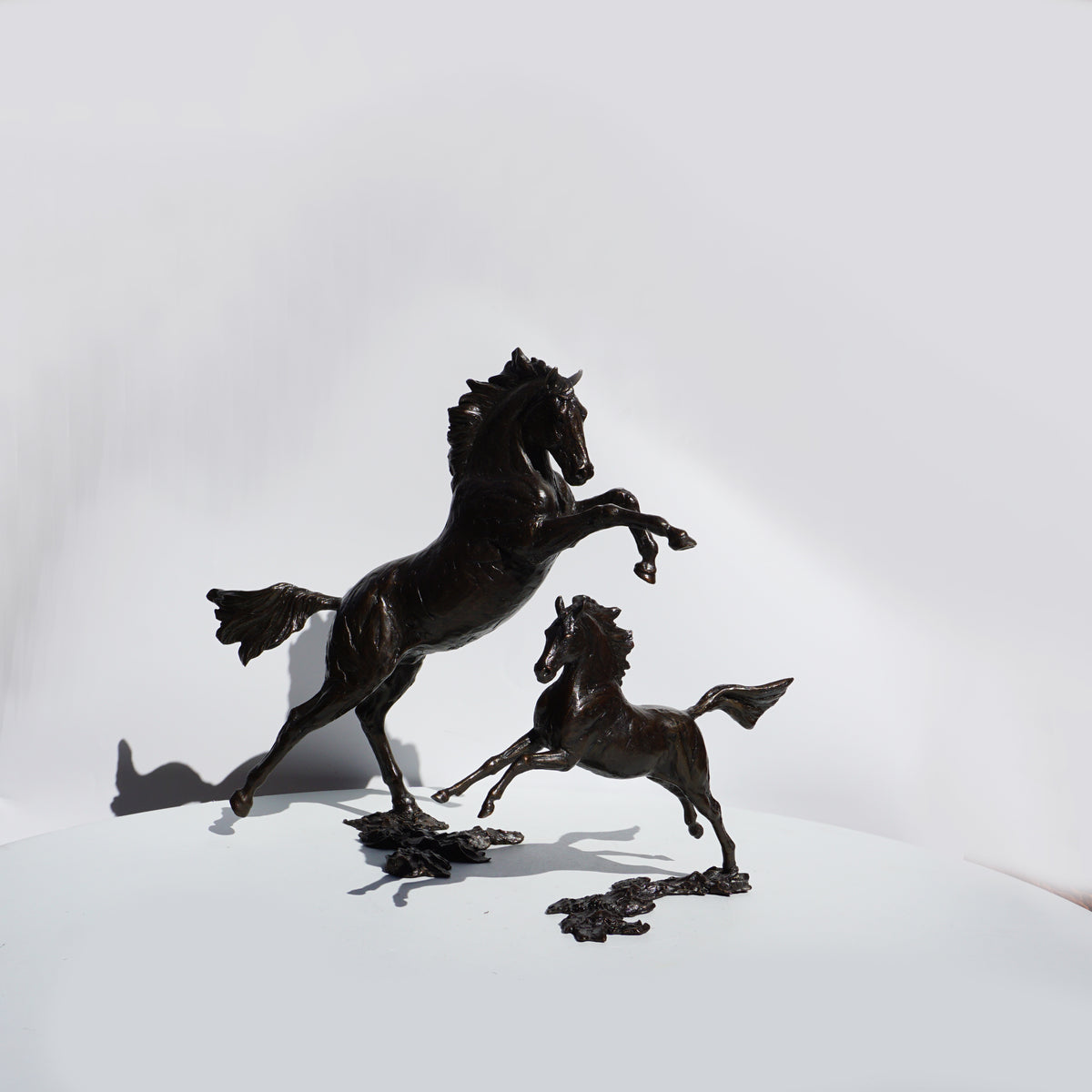Free Spirit - Horse